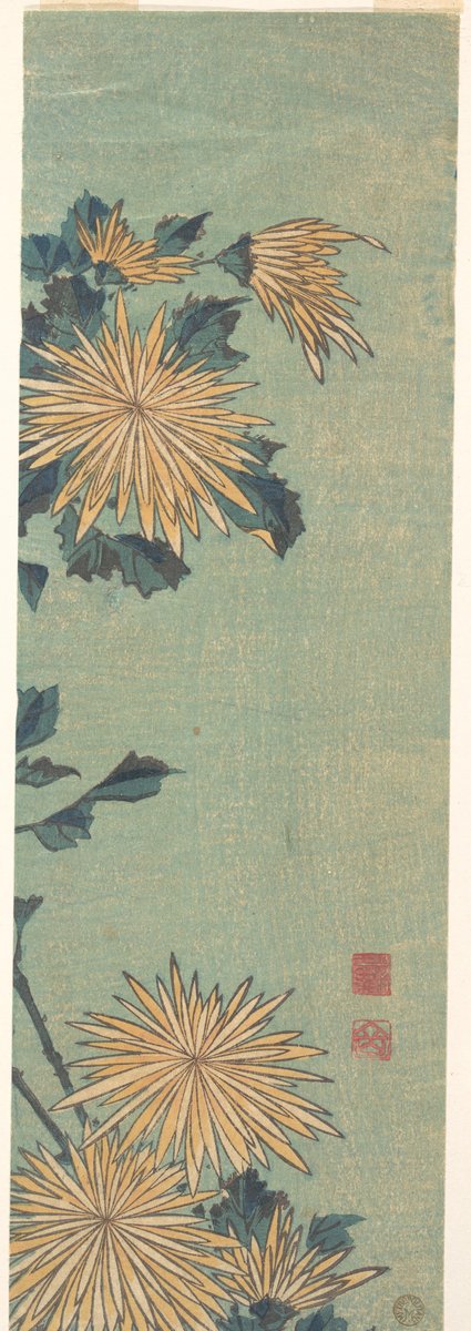 Estampe de Hokusai : grosses fleurs de chrysanthèmes jaunes aux pétales fins sur un fond bleu-vert